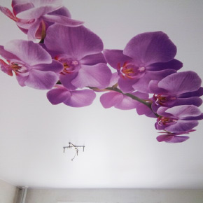 Натяжной потолок с фотопечатью орхидеи