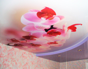 Двухуровневый Натяжной потолок с фотопечатью орхидеи