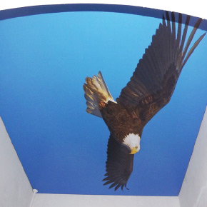 Натяжной потолок с фотопечатью парящий орел