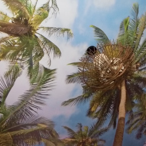 Натяжной потолок с фотопечатью пальмы