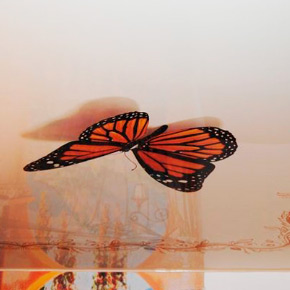 Натяжной потолок с фотопечатью бабочка